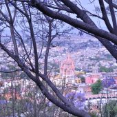  San Miguel de Allende, Mexico 2009